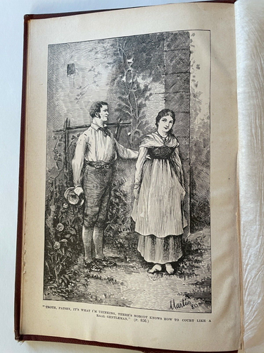 THE WORKS OF CHARLES LEVER VOLUME III 1882 - Picture 5 of 7