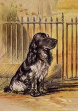 COCKER SPANIEL DOG GREETING CARD BEAUTIFUL BLUE ROAN SITS BY GATE NOTE CARD