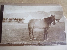 Comanche Horse Cabinet Card Custer 7th Cavalry Little Bighorn Stilwell Deadwood