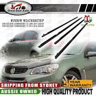 <!--F#f_0-->For Holden Commodore VT VX VY VZ V6 V8 Sedan Black Door Window Belt Mould Set<!--F/-->