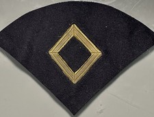 1st SGT BULLION INSERT TO THE M1881 Dress Coat (Chevron) Off A Museum Display.