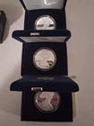Lot of 15 Proof American Silver Eagles in Display Case, See Description (GX0004)