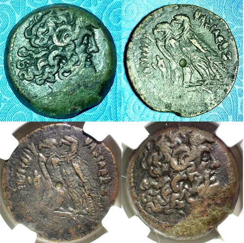 🔥 180-116 BC PTOLEMAIC EGYPT (Ptolemy VI & VIII, Co-Regency) Æ29 NGC Ch VF Zeus