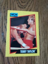 1991 WCW Wrestling Trading Card Terry Taylor #75