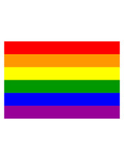 9X Adesivi Auto Sticker Bandiera Arcobaleno Bandiera Adesivo 9X9 cm Trasparente
