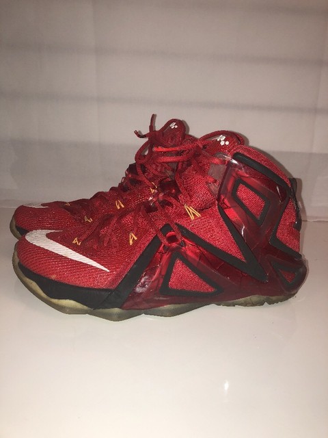 lebron 11 zoom