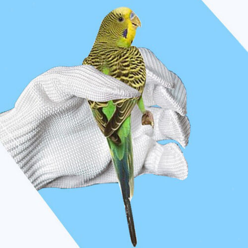 Kratz /bissfeste Handschutzhandschuhe für Vogel Papageien Reptil - Afbeelding 1 van 4