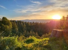 Your Private Foothold in the Santa Cruz Redwoods! 🌲