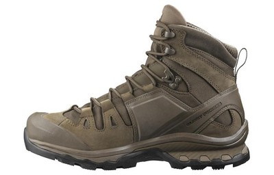 Salomon Quest 4D GTX Forces 2 Coyote/Coyote L40723300