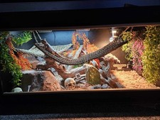 Black 4x2x2 Wood Vivarium, With Hammock, Triangle Hammock Wood And More