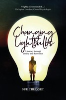 Changing Lightbulbs A Journey Through Anxiety And Depression Sue Tredget Buch