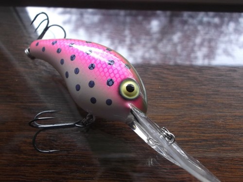 Custom Painted Strike King 5XD 5 XD 15+ Footer Bagley's Trout Rattle - Picture 5 of 10