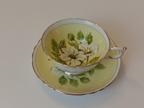 PARAGON Double Warrant  Bone China Teacup Saucer England Floating Dogwood Yellow - Picture 9 of 9