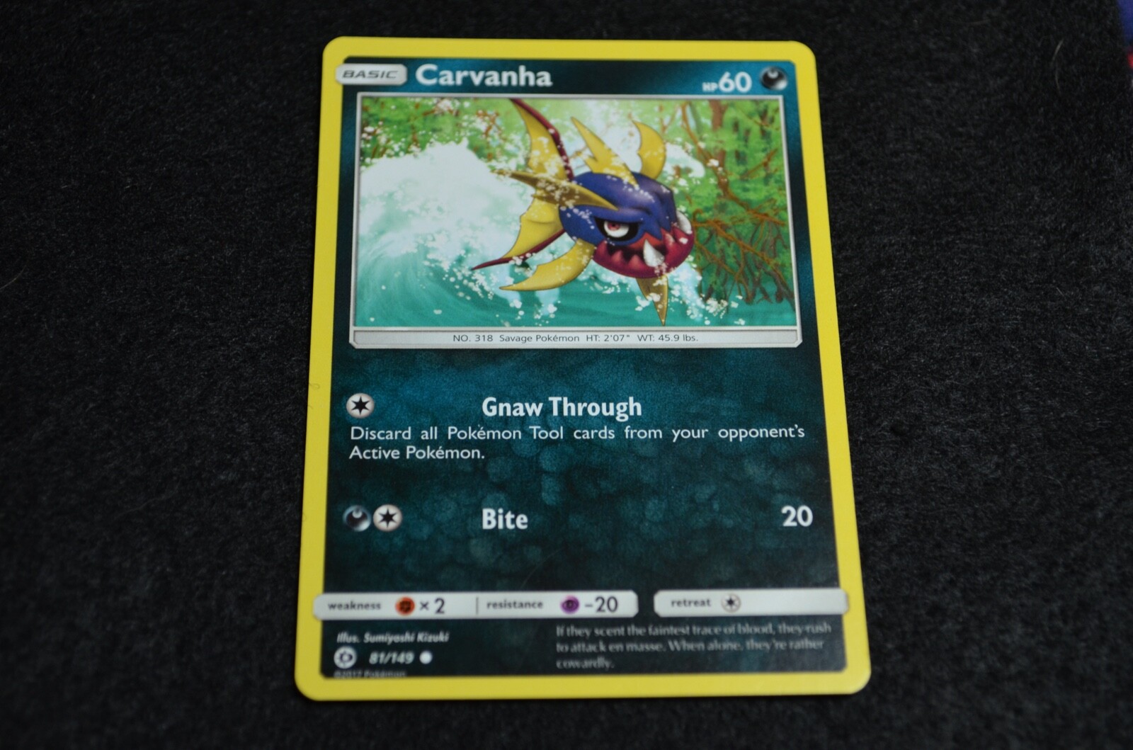 Pokemon CARVANHA Sun & Moon Base Set 81/149 NM/Mint PACK FRESH