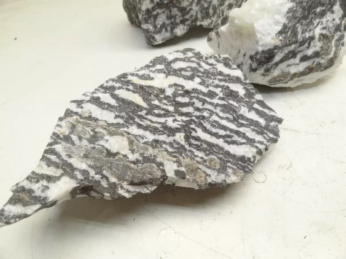 Natural Beautiful Zebra Rock White Tiger Stone Polish Aquarium