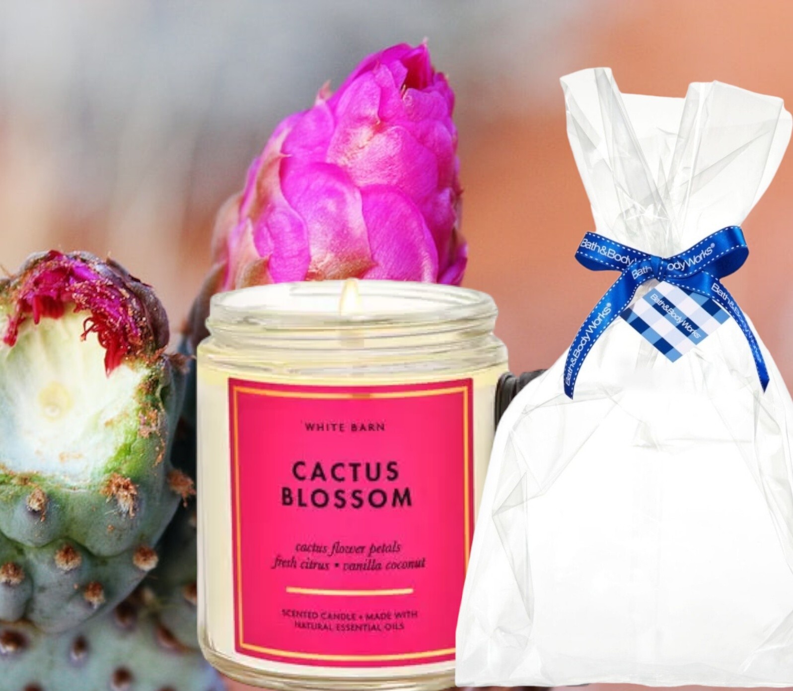 Bath & Body Works Single Wick 7oz Cactus Blossom Candle NEW eBay