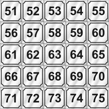 Number Type (51-75)  For Dexter, Wascomat, Speed Queen, Huebsch, Maytag Washer