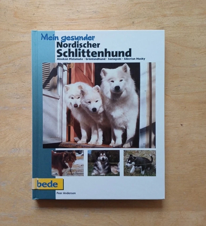 Software für Retro PCs / Cubasis GO/WinOn CD / Home Personal Translator - Bild 2 von 2