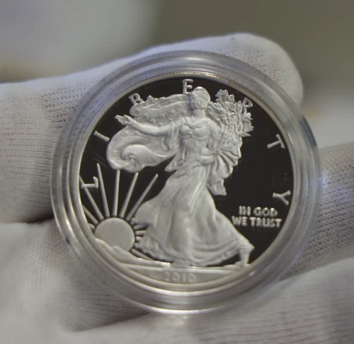 2010 W 1oz US American Silver Eagle $1 Dollar Proof Bullion