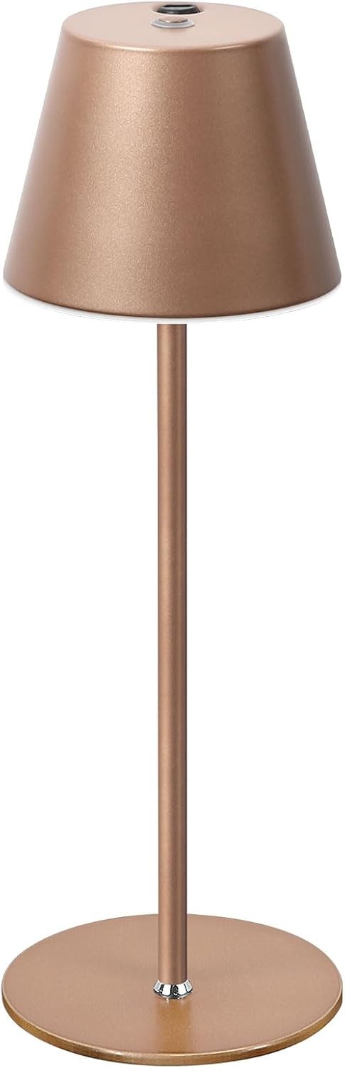 БЕСПРОВОДНАЯ НАСТОЛЬНАЯ ЛАМПА BOSCEOS - КОРИЧНЕВАЯ 14190₽