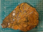 Large slab of  banded agate/brecciated Jasper for Cabbing or show piece — photo 5