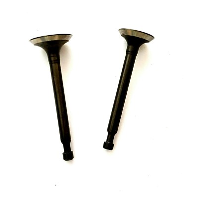 Auspuff & Einlassventil passend für Honda GX160 & GX200 Motormodelle 2 Stück Kit
