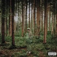 I Love You,I M Trying | Grandson | Audio-Cd | Cd | 2023 | Ean 0075678617089