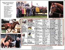Race Horse Triple Crown Winner Justify  8 by 11 photo picture pedigree