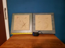 Beach Theme Decorations