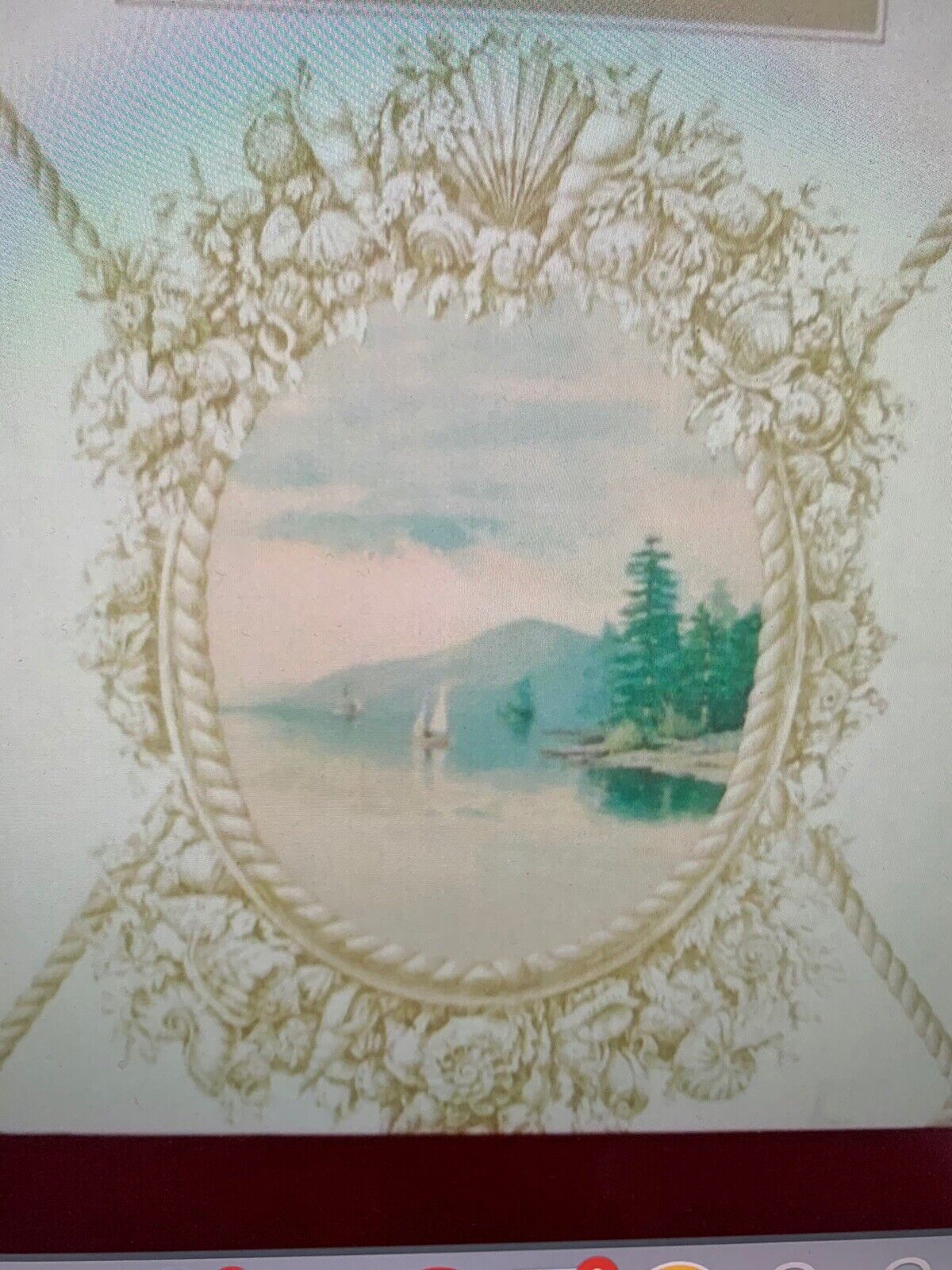 Picture 8 of 8