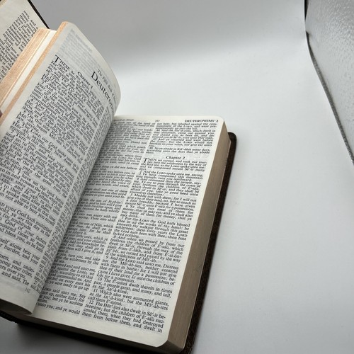 Heilige Bibel / KJV / Grundbibel hilft / Collins Welt / Selbstaussprechende Ausgabe - Bild 11 von 16