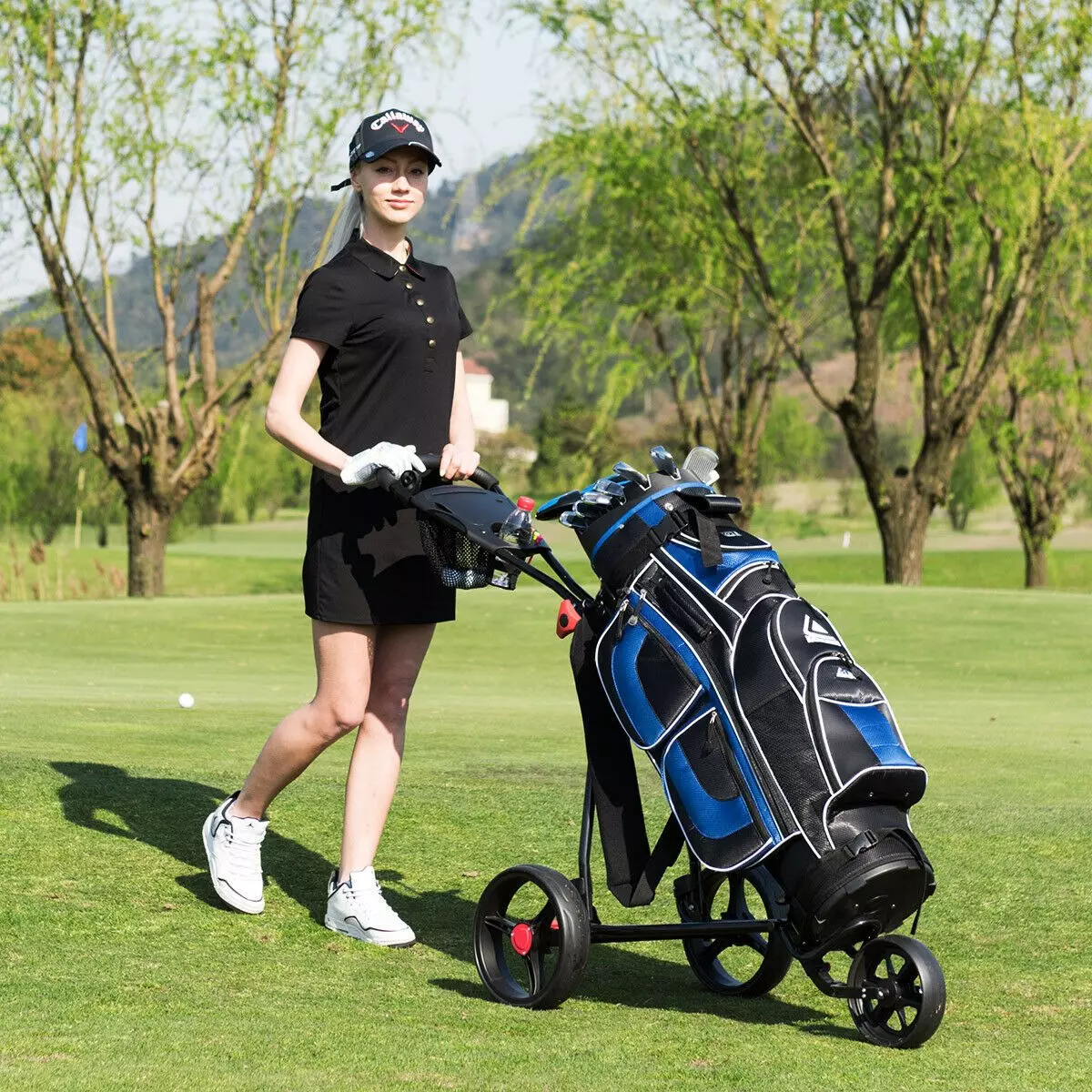 Golf Bags & Push Carts