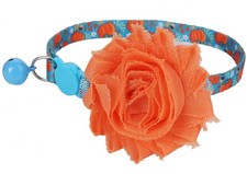 BoomBone Thanksgiving Collar for Cats,Designer Puppy Collar Breakaway with Fl...