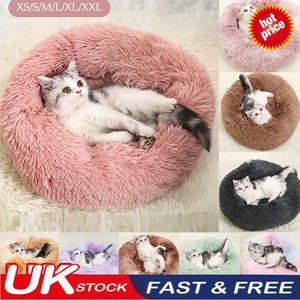fluffy cat cushion