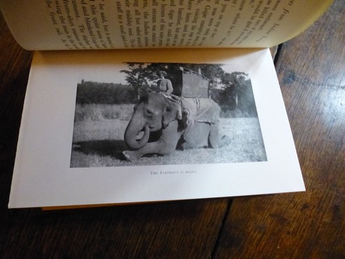 1930 EARDLEY-WILMOT BIG GAME HUNTING SHIKAR LEAVES FROM INDIAN FORESTS INDIA - Imagen 7 de 7