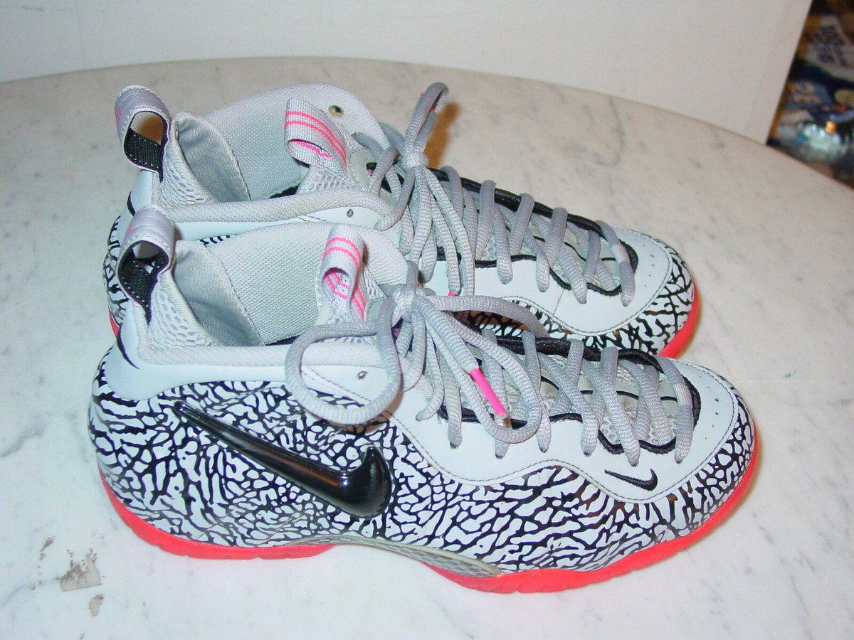 2014 Nike Air Foamposite One Premium 
