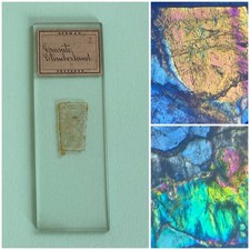  on The Hot Collector