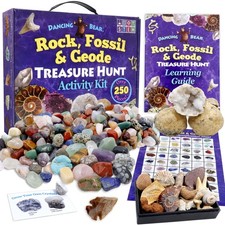 DANCING BEAR Rock, Mineral Geodes Treasure Hunt Activity Kit 250 Pc Set Real