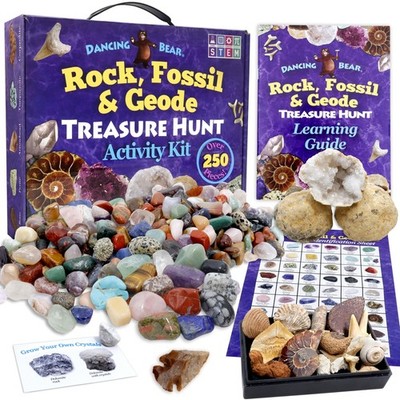 DANCING BEAR Rock, Mineral & Geodes Treasure Hunt Activity Kit 250 Pc Set Real