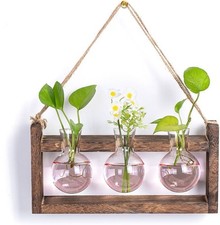 Plant Propagation Station with Wood Stand - Wall Glass Terrarium