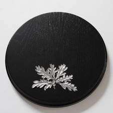 Boar Shield Boar Board AF 19 Cm Armored Board Round Dark Cover Sheet 6-Layered