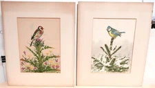 PAIR OF OLD ORIGINAL WATERCOLOR BLUE TIT & GOLDFINCH BIRDS PAINTINGS DATED 1925