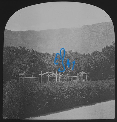 Foto TISCHBERG KAPSTADT SÜDAFRIKA UM 1910 Magisches Laternendia NO19