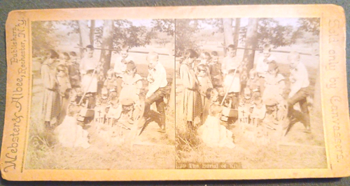 PET BURIAL CAT KIT Children MOURNING Death 1800's Stereoview PHOTO Card - Picture 5 of 5