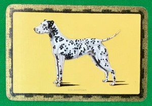 Playing Cards 1 Single Card Old Vintage Enn English Named Dalmatian Dog Ebay