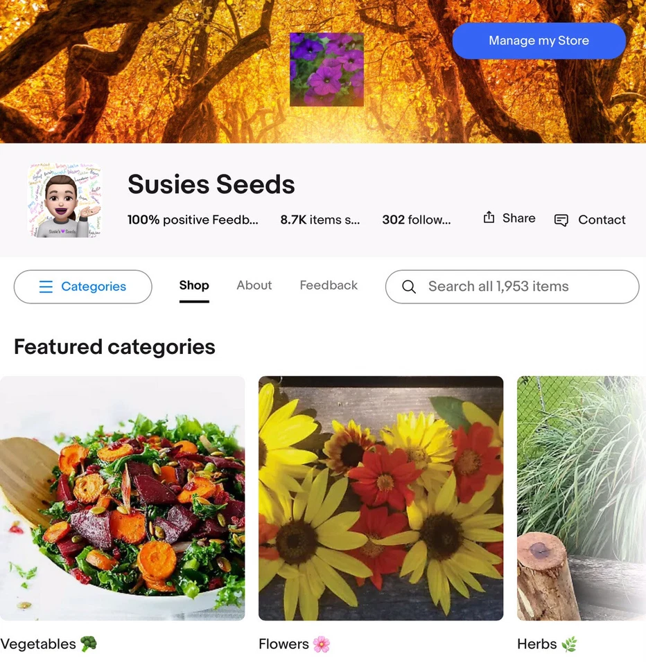 Virginian Stock (Dwarf Mix) 1800+ Seeds (Malcomia) Instructions Including x - Image 2 of 4