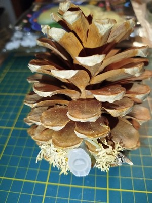 super Geocache Versteck als Tannenzapfen ungenutzt ca. 11 x 9,5 cm