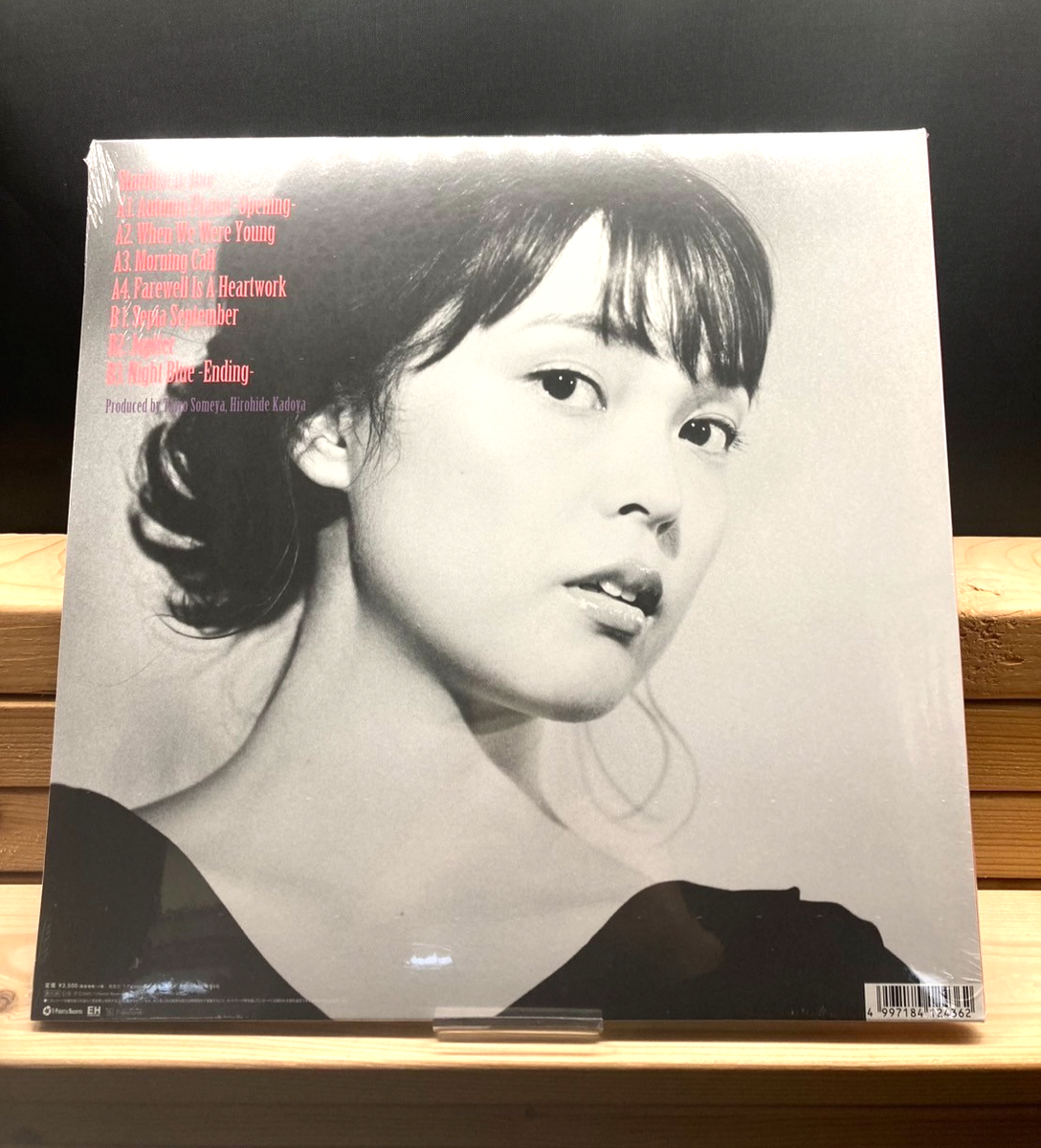 Kaede / Stardust in Blue 2020 Vinyl LP Japan City Pop Lamp Negicco
