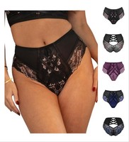 Pour Moi After Hours Briefs High Waisted Flattering Womens Lace Knickers 27506