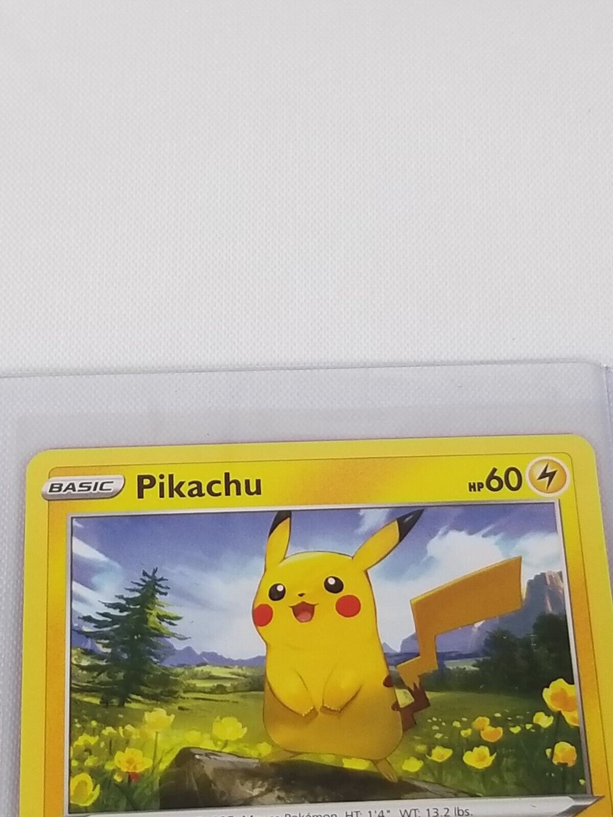 Pikachu 60pv 049/203 Pokemon Card EB7 Evolution Heavenly New Fr